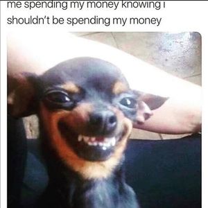 Meet your Posher, Sandra